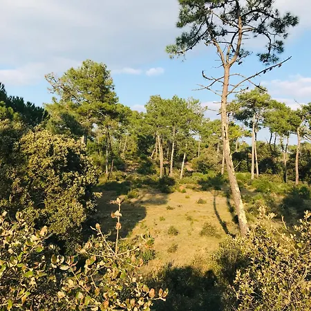 Village De La Mer, Piscine Et *